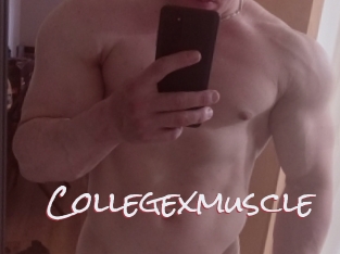 Collegexmuscle