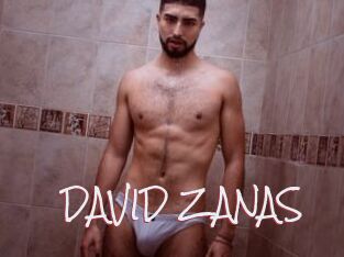 DAVID_ZANAS