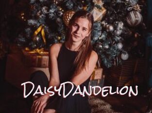 DaisyDandelion