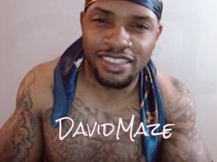 David_Maze