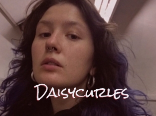 Daisycurles