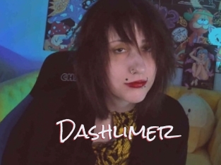 Dashlimer