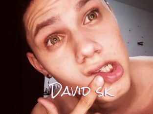 David_sk