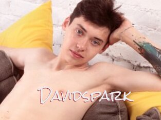 Davidspark