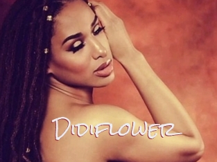 Didiflower