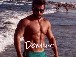 Domluc