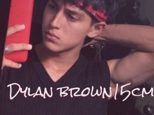 Dylan_brown15cm