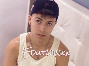 Edutwinkk