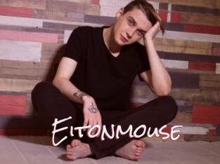 Eitonmouse