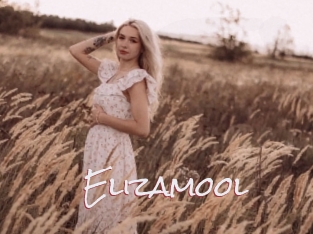 Elizamool