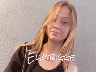 Elvabigge