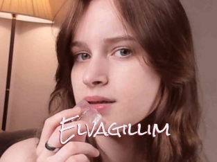 Elvagillim