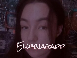 Elwynagapp