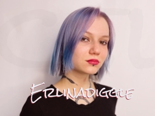 Erlinadiggle