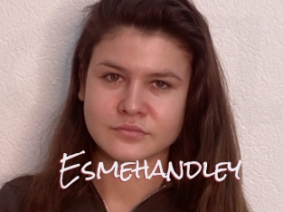 Esmehandley