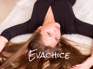 Evachice