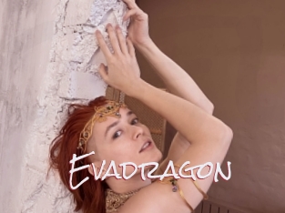 Evadragon