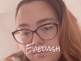Eviedash