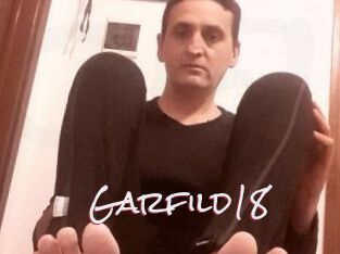 Garfild18