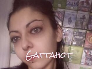Gattahot
