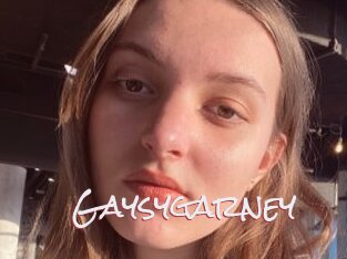 Gaysygarney