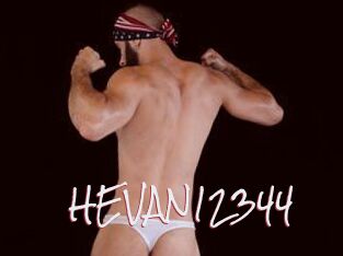 HEVAN12344