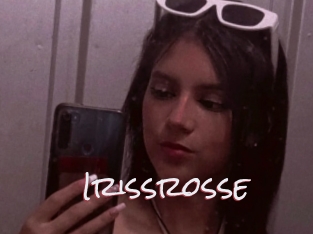 Irissrosse