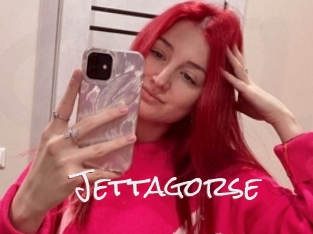 Jettagorse