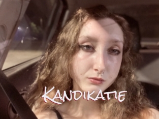 Kandikatie