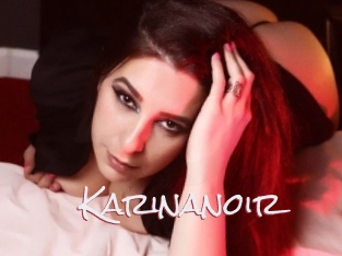 Karinanoir