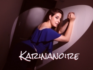 Karinanoire