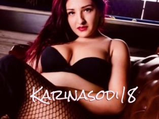 Karinasodi18