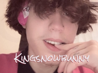 Kingsnowbunny