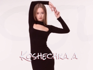 Koshechka_a