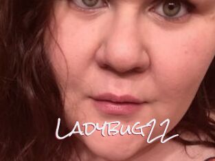 Ladybug22