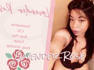 Lavender_Rose