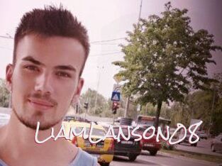 LiamLanson08