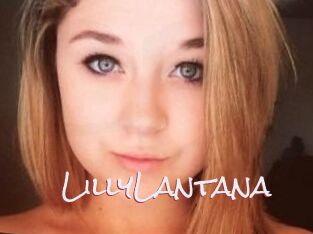 LillyLantana