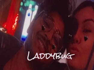 Laddybug