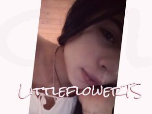 LittleflowerTS