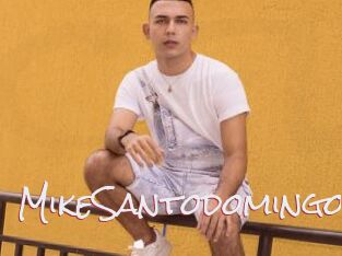 MikeSantodomingo