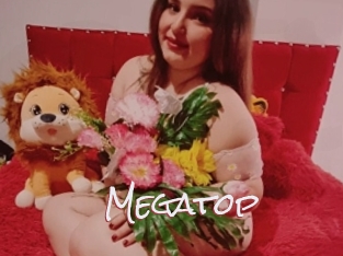 Megatop
