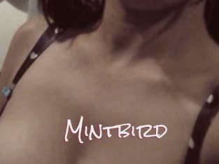 Mintbird