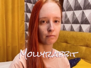 Mollyrabbit