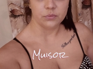 Muisor