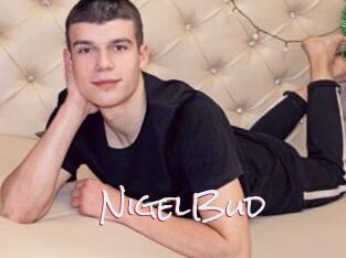 NigelBud