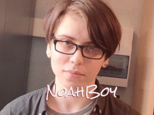 NoahBoy