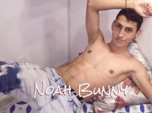 Noah_Bunny