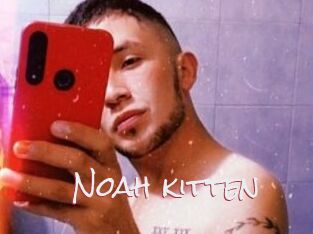 Noah_kitten