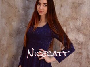 Nicecatt